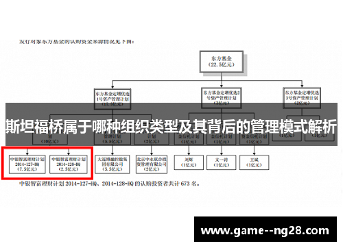 斯坦福桥属于哪种组织类型及其背后的管理模式解析